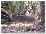 skidsteer10