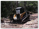 skidsteer3