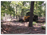 skidsteer6